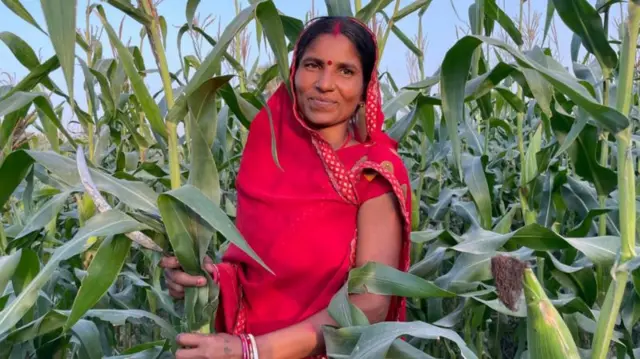 ਊਸ਼ਾ ਦੇਵੀ