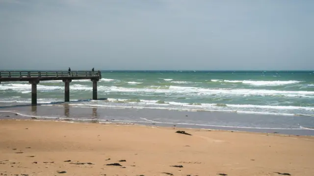 டி-டே, நார்மண்டி படையெடுப்பு