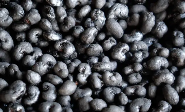 కోనసీమ, జీడి గింజలు