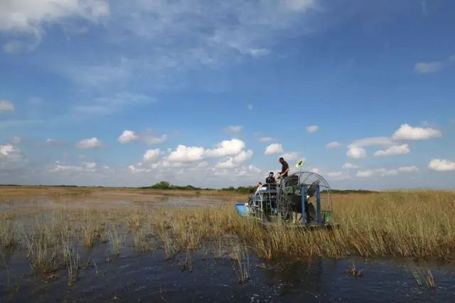 Pemburu ular piton Florida