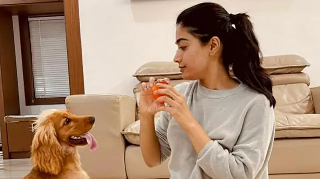 సినీనటి రష్మిక మందన్న