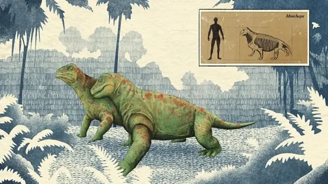 Dois animais em uma mata