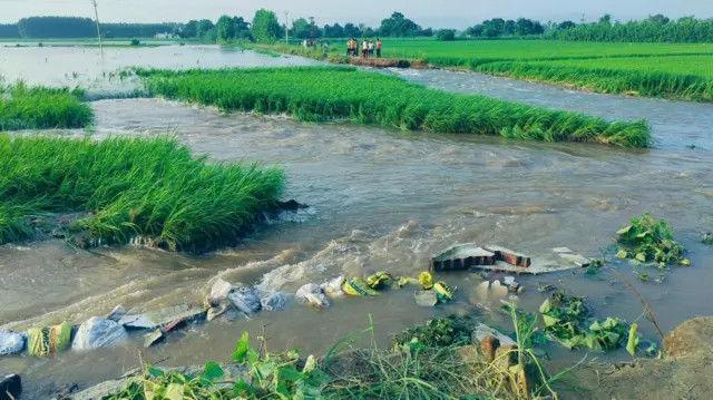 ਪੰਜਾਬ ਵਿੱਚ ਹੜ੍ਹ 