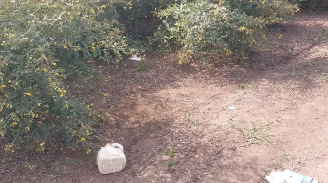 ગીર, ગીર અભયારણ્ય, ગુજરાત, જૂનાગઢ, સિંહ, સિંહણનો હુમલો, વનકર્મીનું મોત, પોલીસ, કાયદો, ગીરનો સિંહ, વનવિભાગ, બીબીસી ગુજરાતી