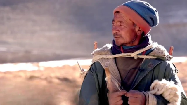 పశువుల కాపరి 