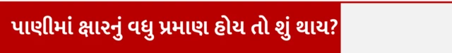 પીવાનું પાણી, સ્વાસ્થ્ય, પોષકતત્ત્વો, બીબીસી ગુજરાતી