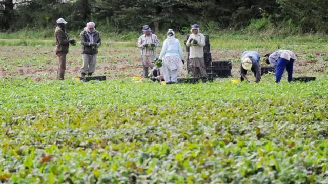 ਖੇਤ ਮਜ਼ਦੂਰ