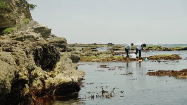 Dos mujeres recolectando muestras en la costa, bastante cerca de la planta de Fukushima.