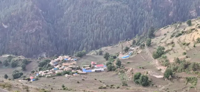 डोल्पा यार्सागुम्बा