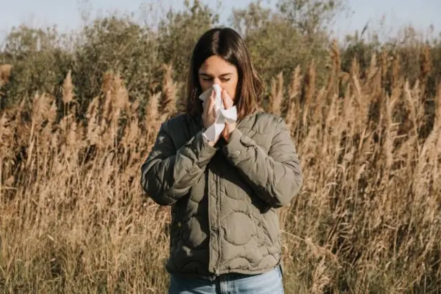 ਹਵਾ ਵਿੱਚ ਉੱਡਣ ਵਾਲੇ ਪਰਾਗ ਵੀ ਐਲਰਜੀ ਦੀ ਵਜ੍ਹਾ ਬਣਦੇ ਹਨ 