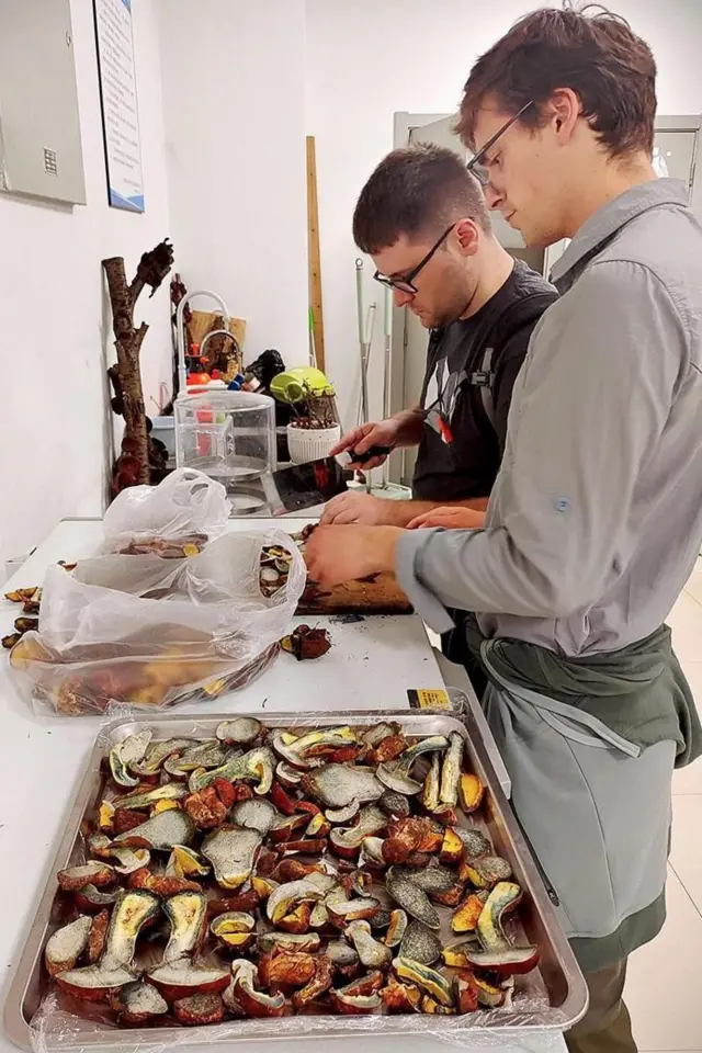 કાચા મશરૂમનું રહસ્ય, પરી જેવા નાના નાના હજારો માણસો દેખાય, ઘેન ચડવું, ચીન, ફિલિપાઇન્સ, બીબીસી ગુજરાતી, હેલ્થ, મશરૂમ, કાચાં મશરૂમ, ભ્રમણા, આભાસ. વિચિત્ર બીમારી, મેડિકલ સાયન્સ, દવા