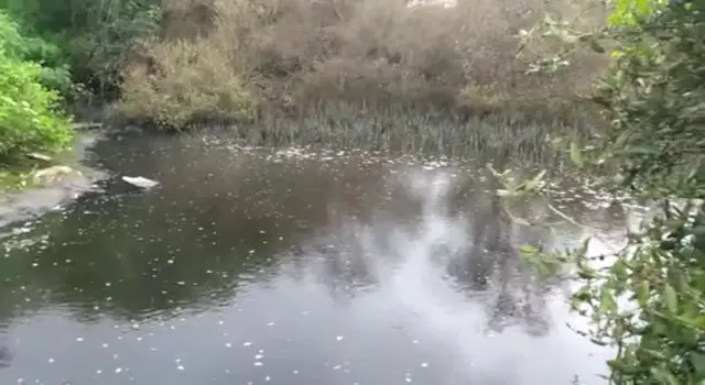 डम्पिंग ग्राउंड मुंबईकरांचे आरोग्य कसे बिघडवतात?