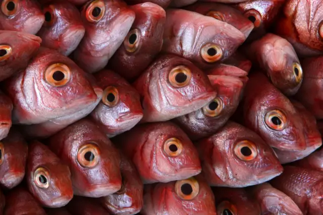 Tezgahta satılan küçük kırmızı balıklar.