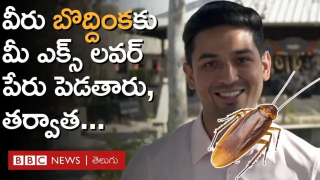 వాలెంటైన్స్ సీజన్ అందరికీ ఫేవరెట్ సీజన్ కాకపోవచ్చు కానీ  ఓ బొద్దింకకు మాజీ ప్రేమికుని పేరు పెట్టడంతో నెగిటివ్ ఎనర్జీ అంతా ఆవిరైపోతుందని కొందరు చెబుతున్నారు. 

