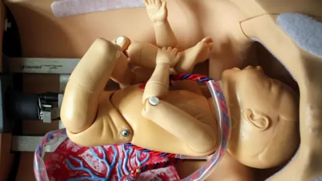 ਨਕਲੀ ਗਰਭਨਾਲ