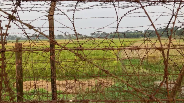 কাঁটাতারের বেড়ার বাইরে ভারতীয় কৃষকদের জমিতে কী চাষ করা যাবে, সেটা বিএসএফ ঠিক করে দেয়