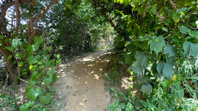 फ़र्रुख़ाबाद