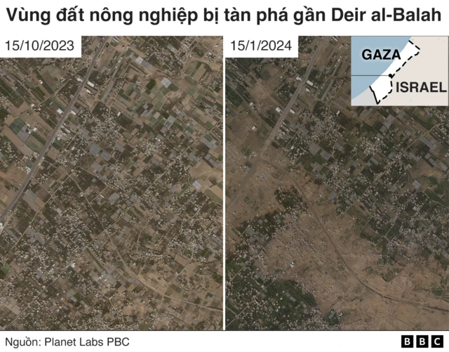 Hình ảnh khu vực đất nông nghiệp gần Deir al-Balah
