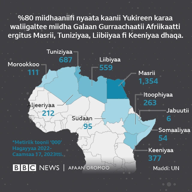Al-ergii miidhaan Yukireen