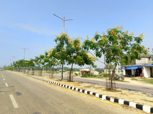 तराईको सडक 