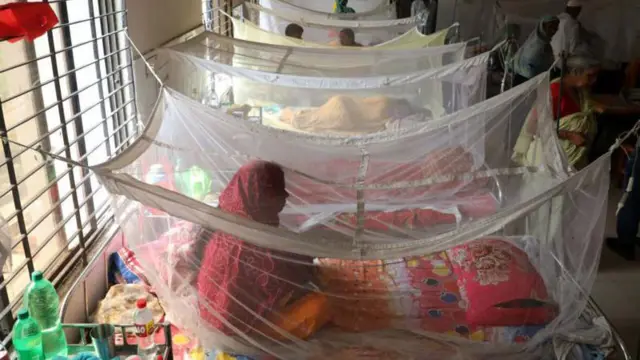 ডেঙ্গু: জরুরি পরিস্থিতির দিকে চলে যাচ্ছে রোগ, কিন্তু মানতে নারাজ স্বাস্থ্য বিভাগ - BBC News বাংলা