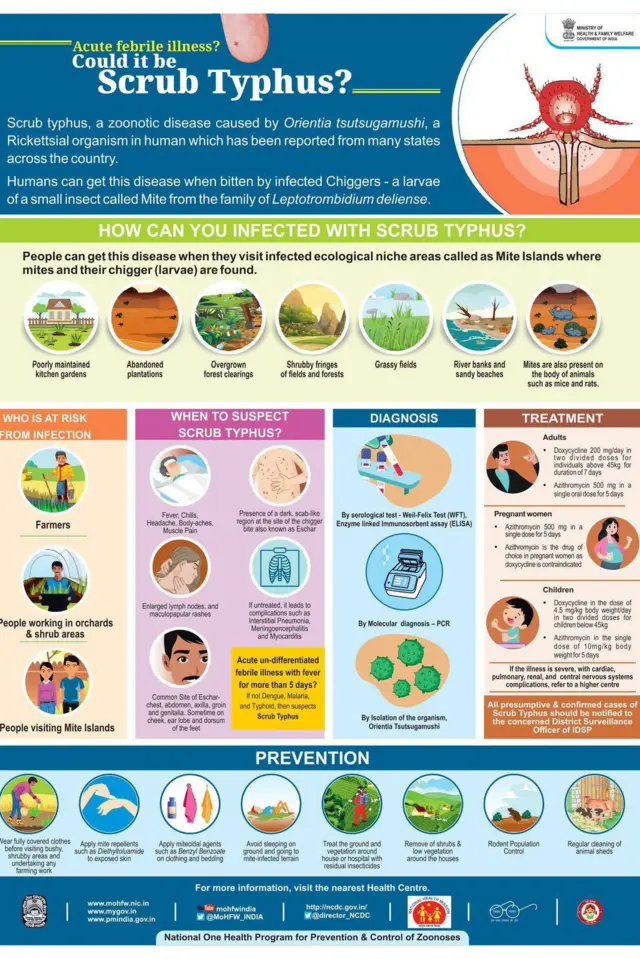 యాంటీబాడీస్