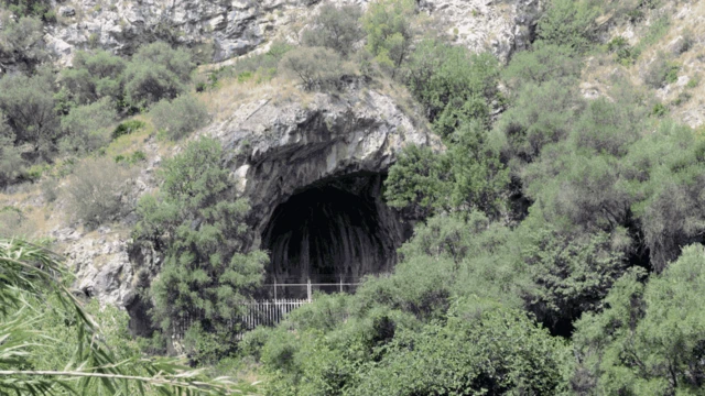 Entrada de Cova Negra