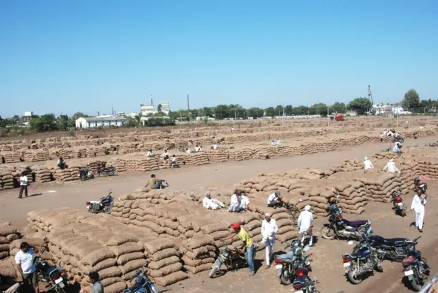 ડુંગળી, ખેડૂતો,ભાવનગર,ગુજરાત