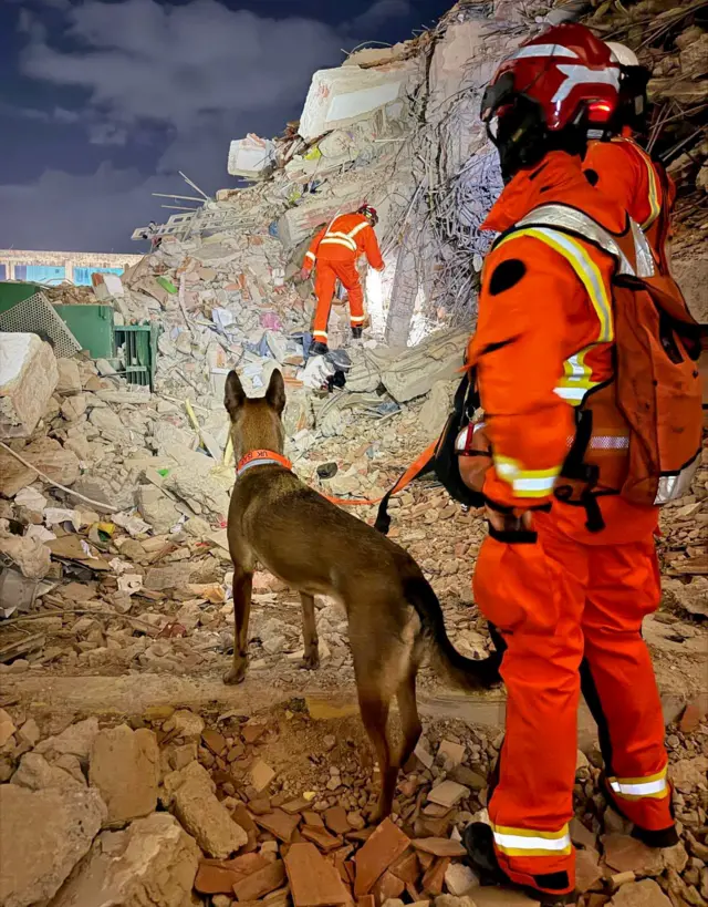 Una persona vestida de pies a cabeza con ropa naranja de alta visibilidad sostiene a un perro con una correa mientras busca sobrevivientes en una zona cubierta de escombros en La Guaira, Venezuela.