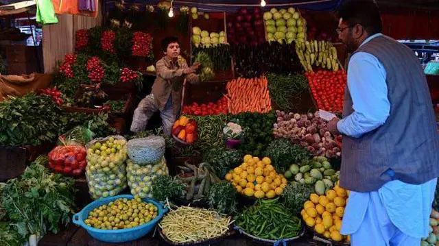 فروش میوه افغانستان