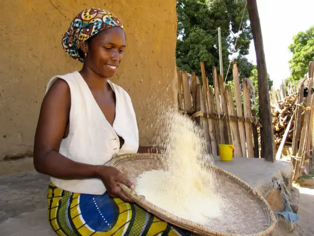 प्रातिनिधिक फोटो