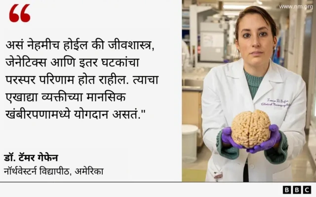 ग्राफिक्स