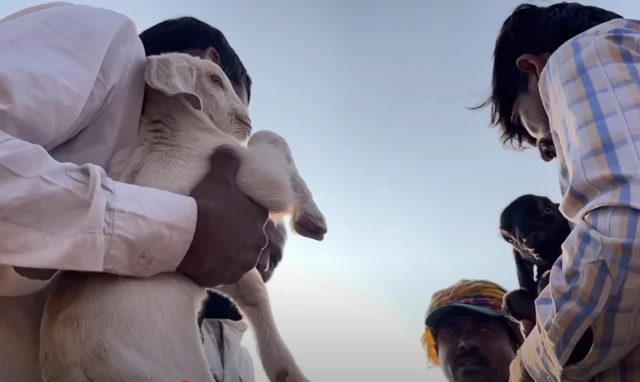 मुळात 'मल्हार प्रमाणपत्र' देणारी ही संस्था एक खासगी कंपनी आहे. 