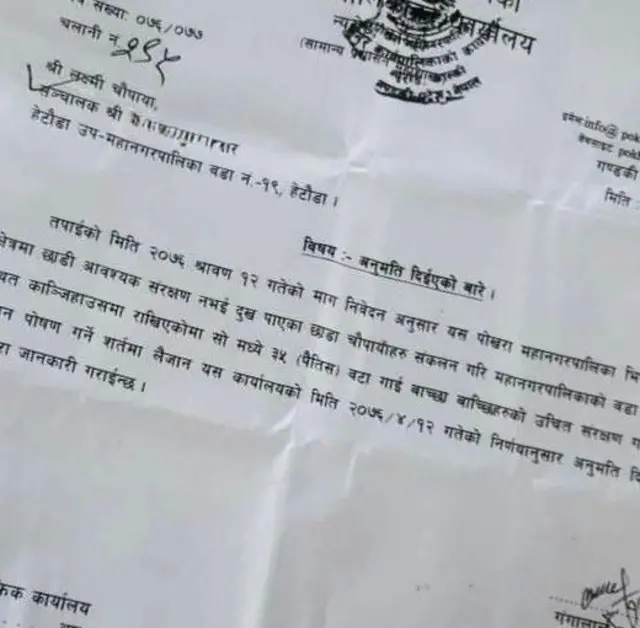 अनुमतिपत्र