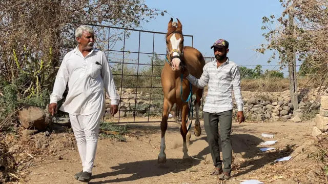 દલિત, પોલીસ રક્ષણ, ઍટ્રોસિટી, ઉના, જૂનાગઢ, ગુજરાત, સુરેન્દ્રનગર, બીબીસી ગુજરાતી, ગુજરાતના સમાચાર