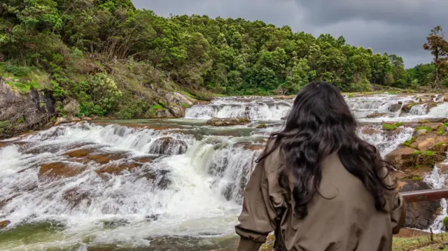 சென்னையிலிருந்து ஒரே நாளில் சென்று திரும்பலாம் - கோடையை குளிர்ச்சியாக்கும் ஐந்து அருவிகள்