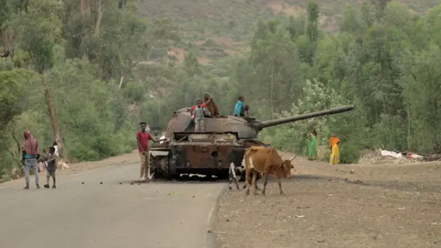 Tigray