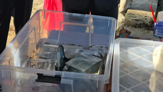 செம்மணி மனிதப் புதைக்குழி