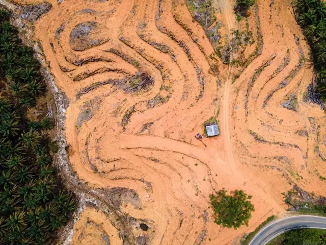 Foto udara lahan yang dibuka untuk perkebunan sawit di Nagan raya, Aceh, pada 29 Mei 2025.