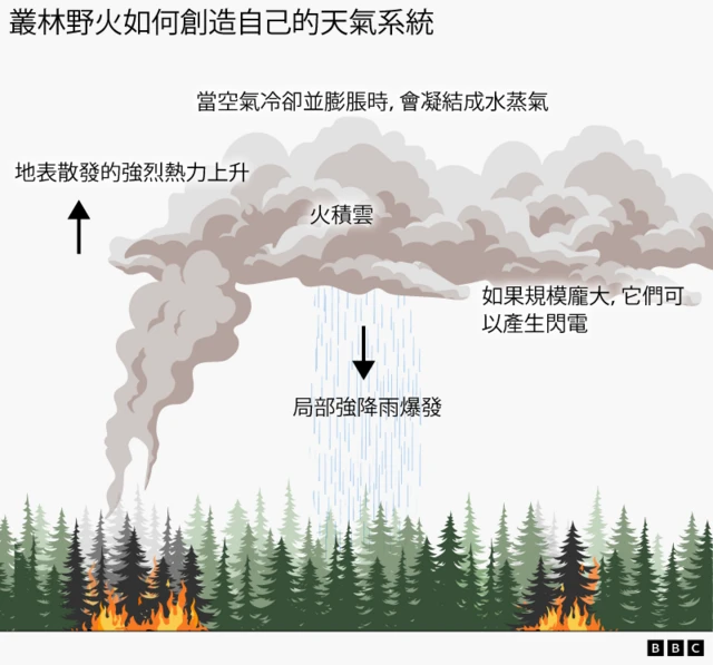 图解野火如何形成自身的天气系统