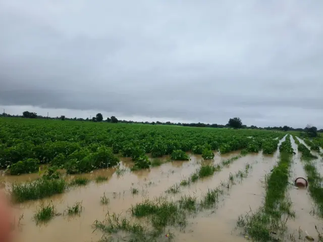 નળકાંઠા વિસ્તારના ગામોમાં ખેતરોમાં હજુ પાણી છે