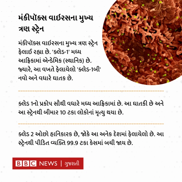 મંકીપોક્સ બાબતે વૈશ્વિક આરોગ્ય કટોકટીની જાહેરાત કરી