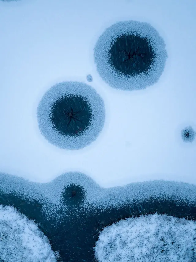 أليكسي خاريتونوف هو الفائز بجائزة فئة المحفظة