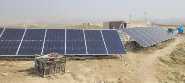 Отабек Нуритдинов ўрмони