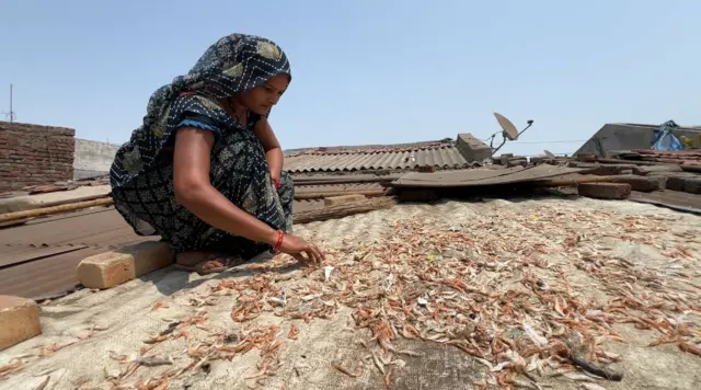 પૂરતાં પ્રમાણમાં માછલીઓ ન મળવાનાં કારણે સપનાબેન માછી પાંચ કરતા વધુ વર્ષથી મજૂર તરીકે કામ કરી રહ્યાં છે માછીમાર, મજૂર માછલી રોજગારી પ્રદૂષણ ક્લાઇમેટ ચેન્જ જળવાયુ પરિવર્તન આબોહવા પરિવર્તન પર્યાવરણ પાણી