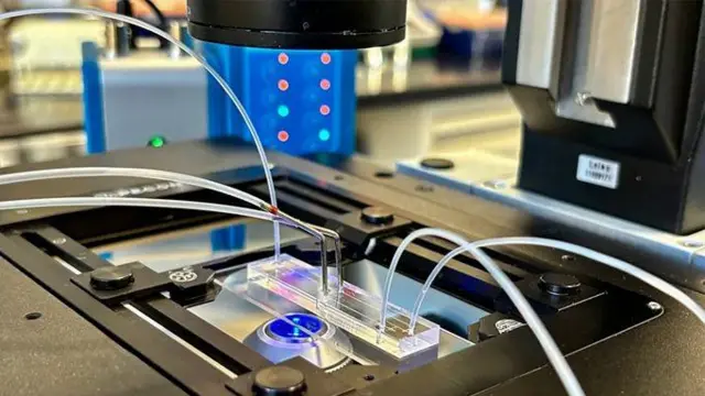 Жоден сперматозоїд не залишається непоміченим: система Star виявляє й одразу його вилучає