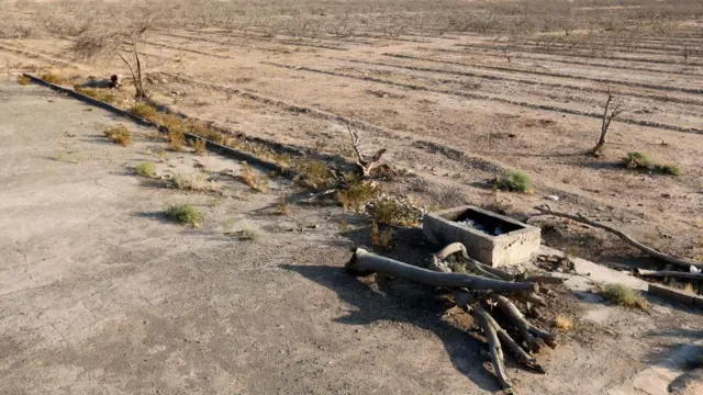 درختان پسته خشک‌شده در روستایی متروکه در نزدیکی سیرجان در جنوب ایران، ۱۴ اوت ۲۰۱۶. این درختان سال‌هاست بر اثر خشک شدن منابع آب زیرزمینی، که در نتیجه دهه‌ها کشاورزی بی‌رویه و هدررفت آب از میان رفته‌اند، نابود شده‌اند. آخرین کشاورزان همراه خانواده‌های خود حدود یک دهه پیش روستا را ترک کردند و این منطقه اکنون به سکونتگاهی متروک شباهت دارد.