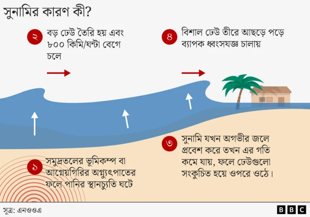 সুনামির কারণ কী