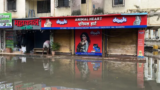 'यापूर्वी जे पाहिलं नव्हतं ते या पावसात पाहिलं'; वसई-विरारमध्ये दरवर्षी पूर परिस्थिती का निर्माण होते?