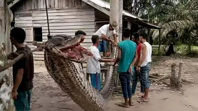 Men uning oyogiga keldim Yujnoukrainskdagi fohishalar, telefon raqamlari